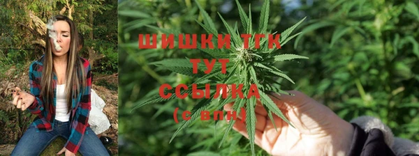 крисы Белоозёрский